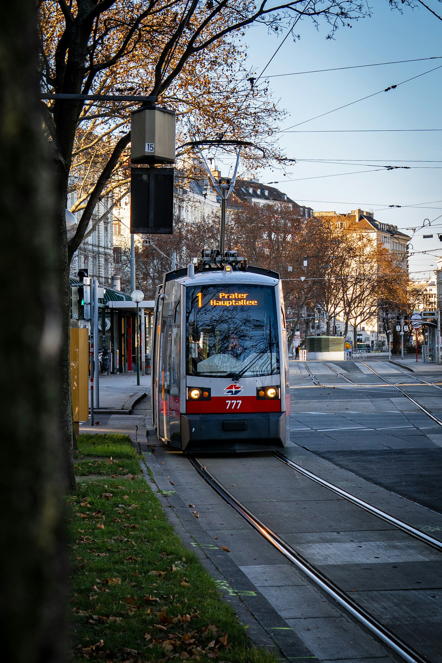 Viyana’nın tarihi binaları arasında kırmızı beyaz bir tramvay